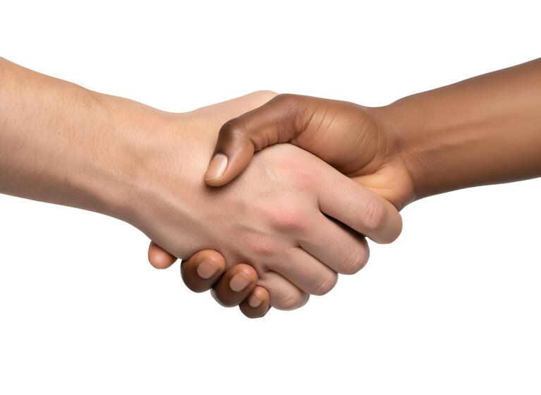 Business handshake — diverse partnership
